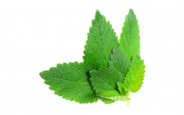 Simply Fresh Mint-LH   Box  100 grams